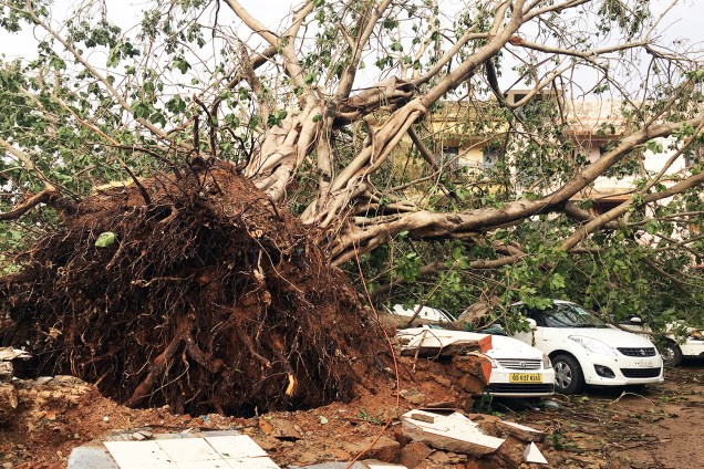 Veículos são atingidos por árvore  após a passagem do ciclone Fani na cidade de Bhubaneswar, localizada no estado indiano de Odisha - 04/05/2019