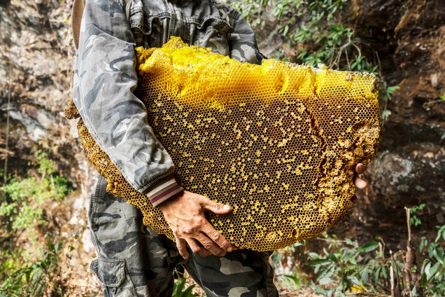 Caçador de mel lisu é visto com favo em penhasco localizado em Dehong, nos arredores da província chinesa de Yunnan. Colher mel tem sido uma tradição cultural e econômica para o povo Lisu - 10/05/2019