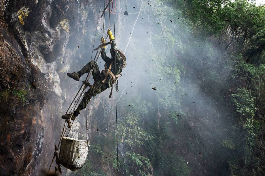 Os caçadores de mel são picados por até 50 vezes enquanto escalam os penhascos em busca do mel das abelhas do Himalaia, que chegam a medir três centímetros de comprimento - 11/05/2019