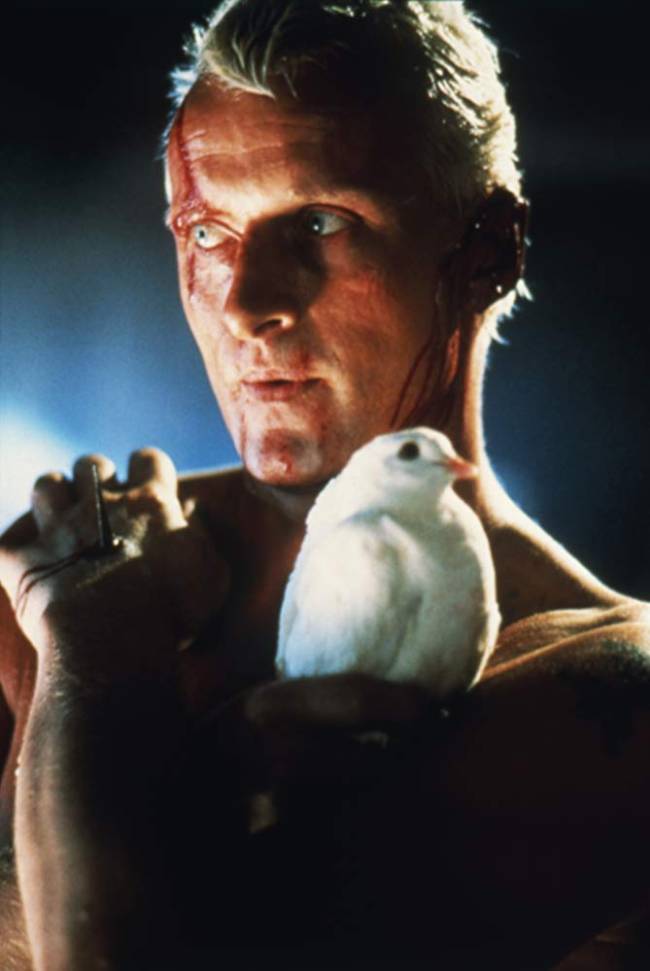 O ator Rutger Hauer como Roy Batty em 'Blade Runner: O Caçador de Androides '