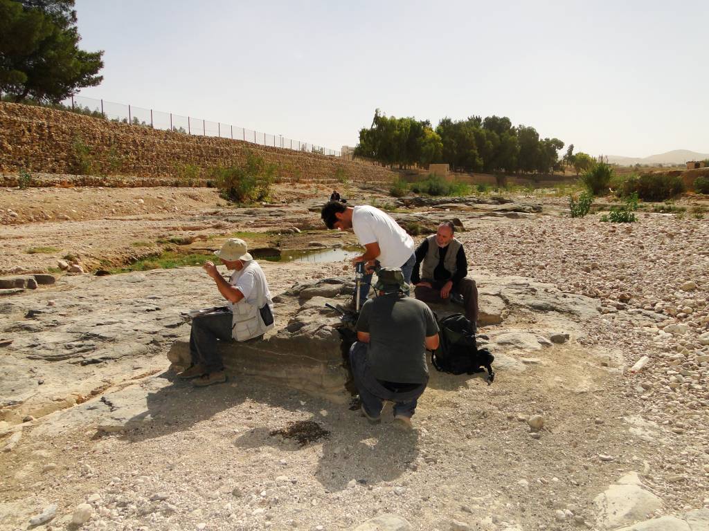 Walter Neves (no fundo, à direita) observa as escavações na Jordânia