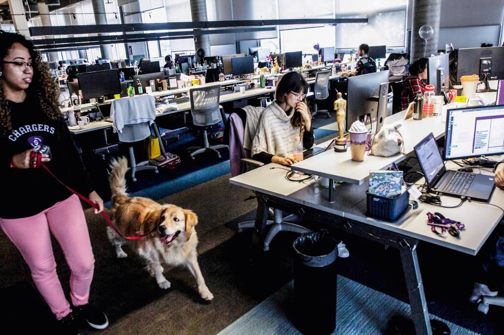 Nubank pode valorizar 34% e ganha recomendação de ‘compra’ do Itaú BBA