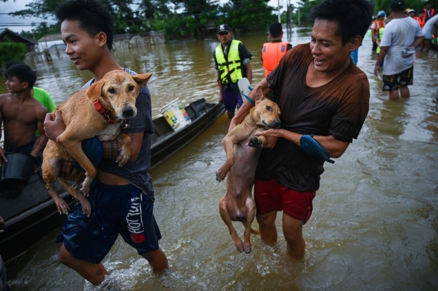 Moradores ajudam seus cães durante alagamento, em Mon State. Tropas de Mianmar foram enviadas para as regiões atingidas pelas enchentes no dia 11 de agosto para ajudar nos esforços de socorro depois que o aumento das águas deixou milhares de pessoas abandonadas.