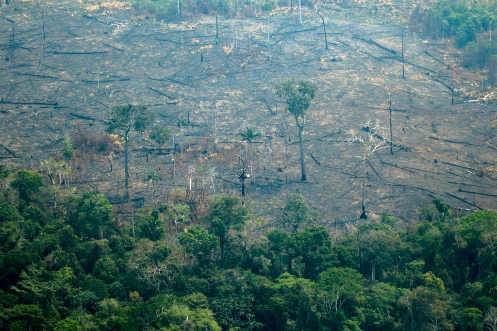 Vista aérea de áreas queimadas da Floresta Amazônica no município de Boca do Acre (AM) - 24/08/2019