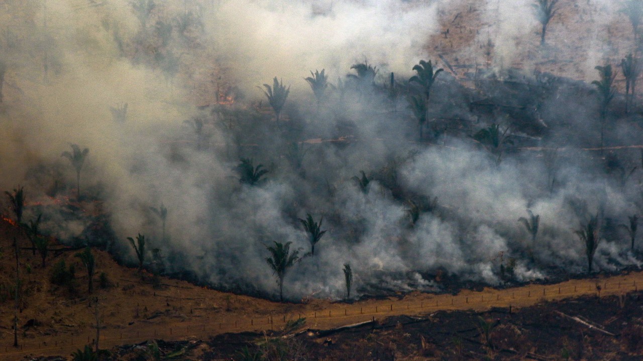 Vista aérea de áreas queimadas da Floresta Amazônica, no município de Boca do Acre (AM): resultado de atividades ilegais - 24/08/2019