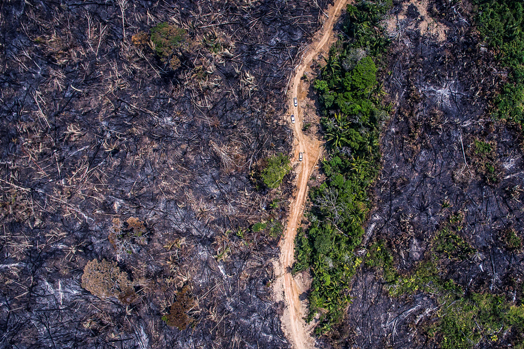 Estrada margeada pela destruição provocada pelo fogo: sinais de uma terra sem lei