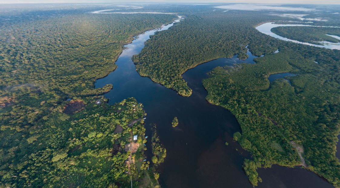 Imagem aérea da Amazônia feita pelo fotógrafo Paulo Vitale