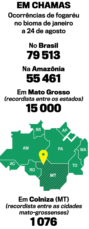 arte-amazônia arte-amazônia