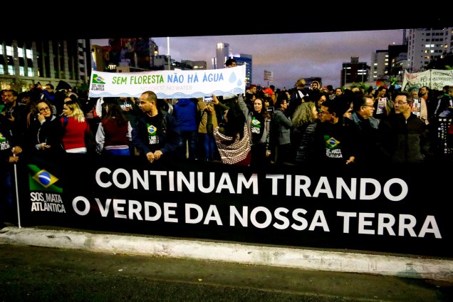 Manifestantes protestam em defesa da Amazônia na Avenida Paulista, em São Paulo - 23/8/2019