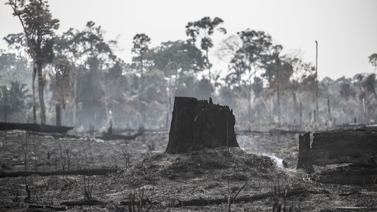 Incêndios na Amazonia - Cenas de áreas devastadas por fogo na região de Guariba, estado do Mato Grosso. Foto: Jonne Roriz/VEJA