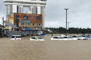 Cars are submerged in floodwater after Typhoon Mitag brought heavy rain and flood to Gangneung, South Korea