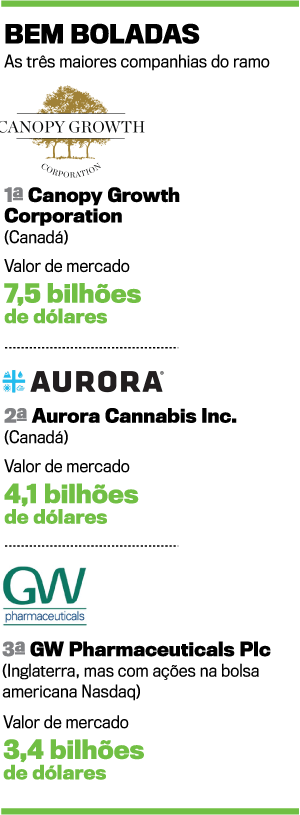 ARTE-MACONHA1 ARTE-MACONHA1