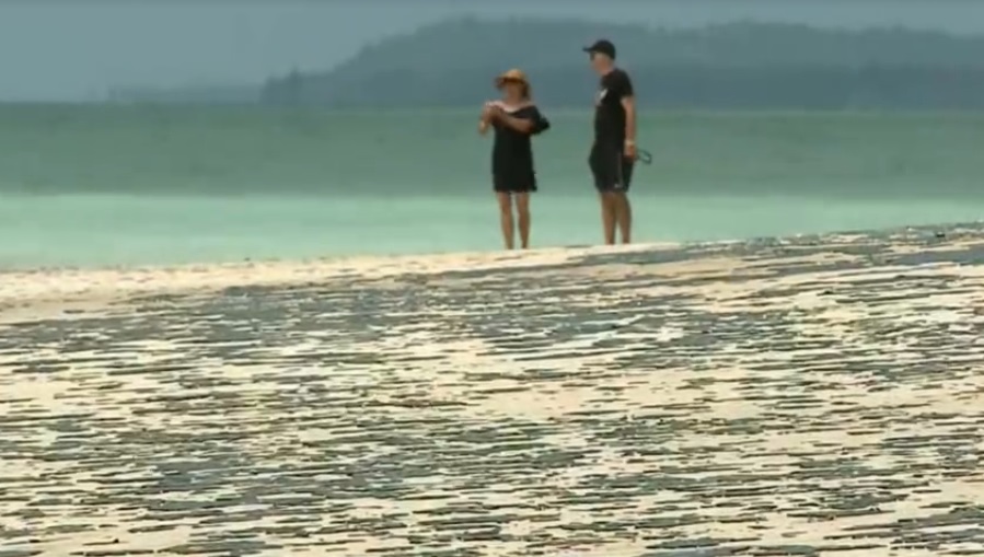 Maia cria CPI para investigar origem das manchas de óleo no Nordeste