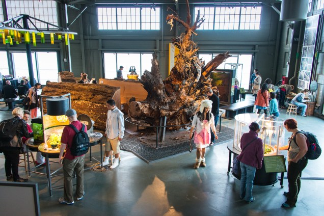 Área de ciências biológicas do museu Exploratorium de Sâo Francisco (EUA)