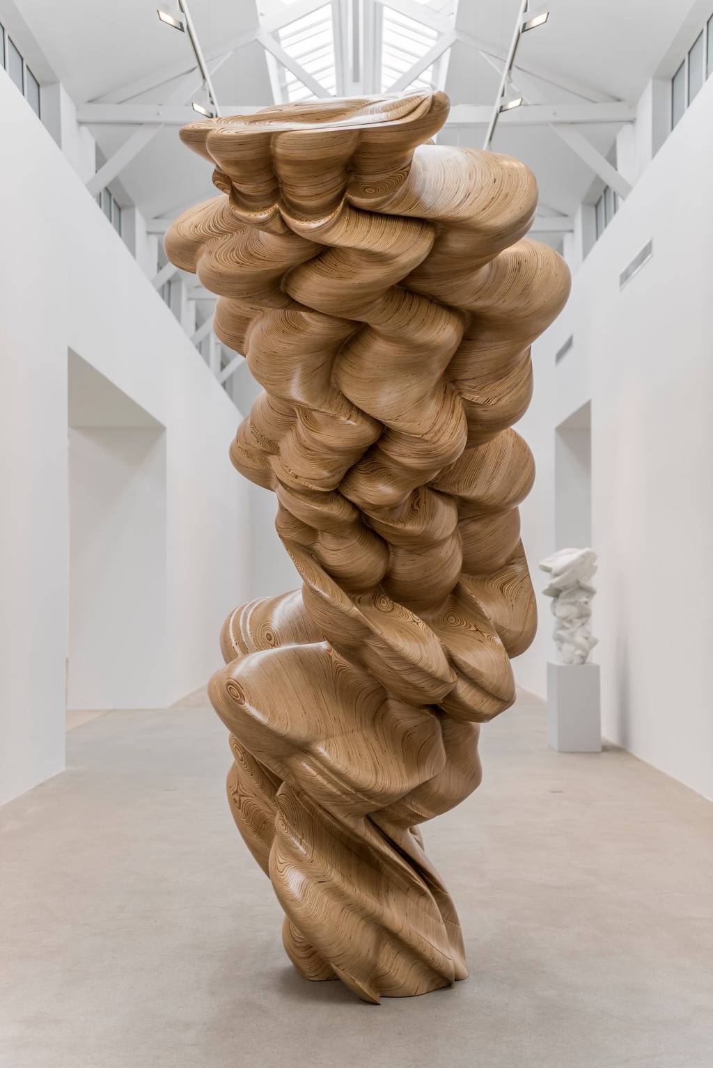 ‘Contradiction’, de Tony Cragg 'Contradiction', de Tony Cragg