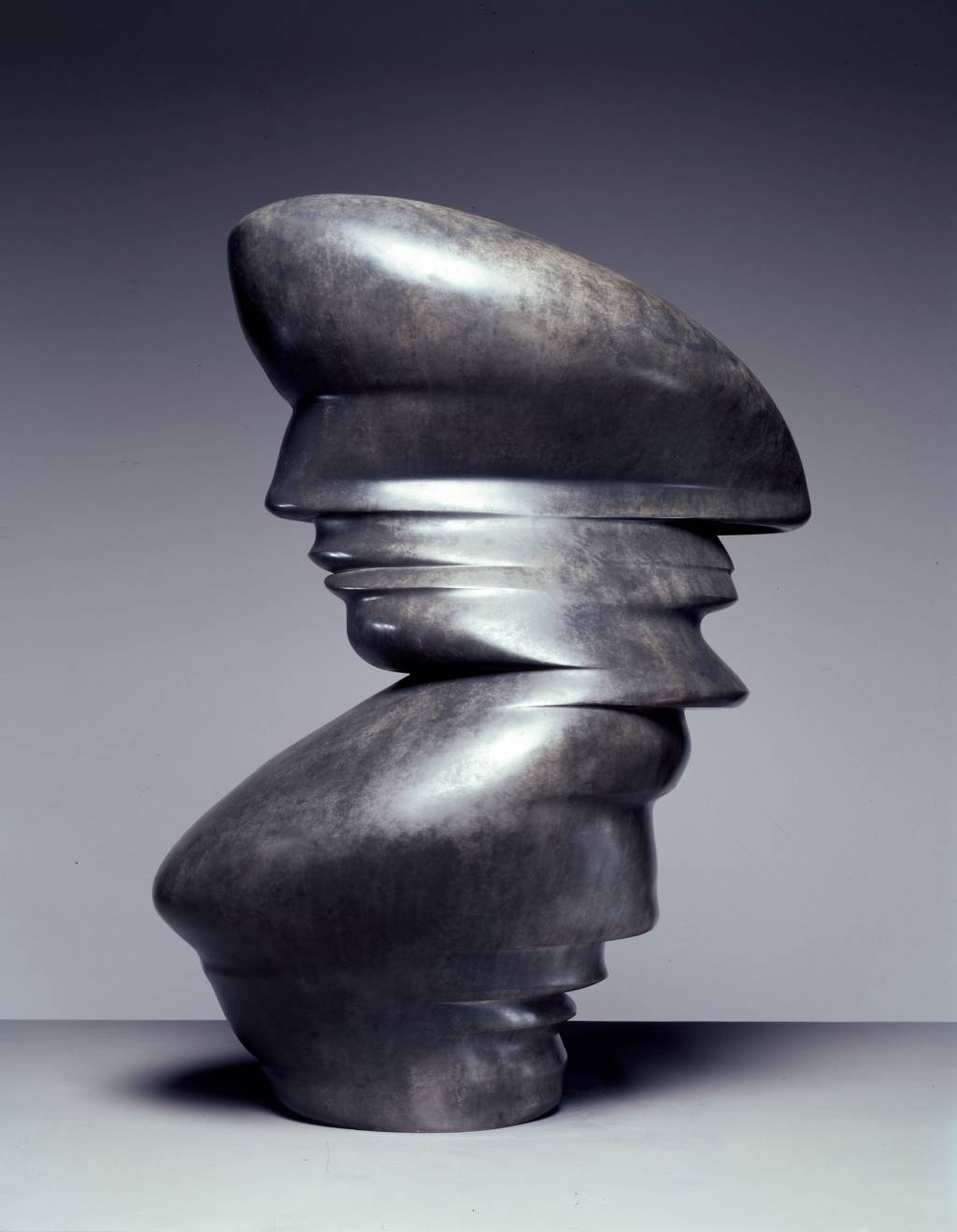 'Cast Glances', de Tony Cragg