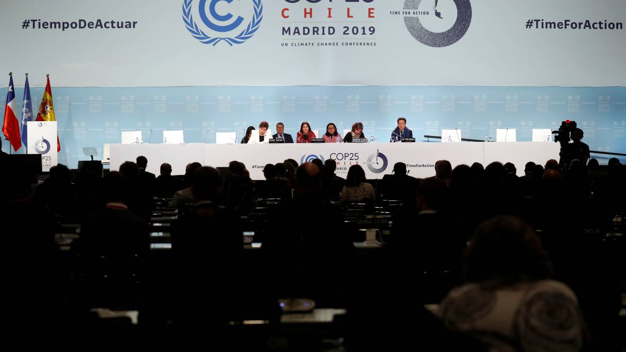 COP 25