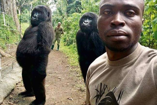 SELFIE-MACACO-2019-1.jpg SELFIE-MACACO-2019-1.jpg