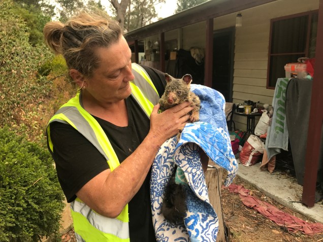 Voluntários resgatam um gambá dos incêndios florestais que ocorrem na Austrália 29/12/2019