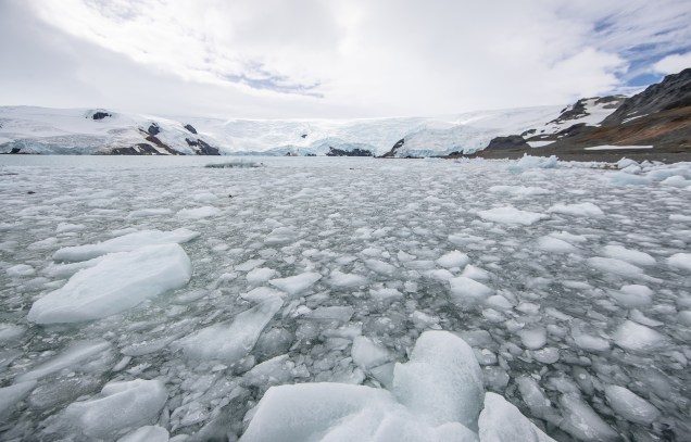 Em locais próximos às geleiras, o mar fica coberto de pedaços de gelo