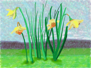 DAVID HOCKNEY