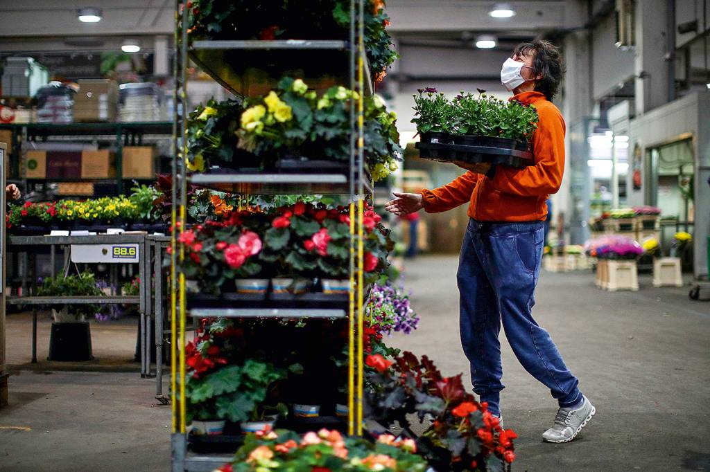 A woman wears a protective mask as she shops flowers at the central flower market (Grossgruenmarkt) in Vienna A woman wears a protective mask as she shops flowers at the central flower market (Grossgruenmarkt) in Vienna
