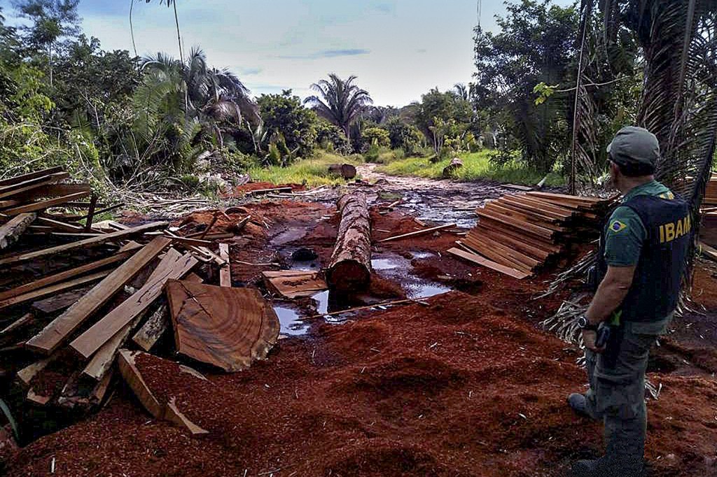 DESASTRE - Ação no interior do Pará: diretores do Ibama foram afastados após a operação