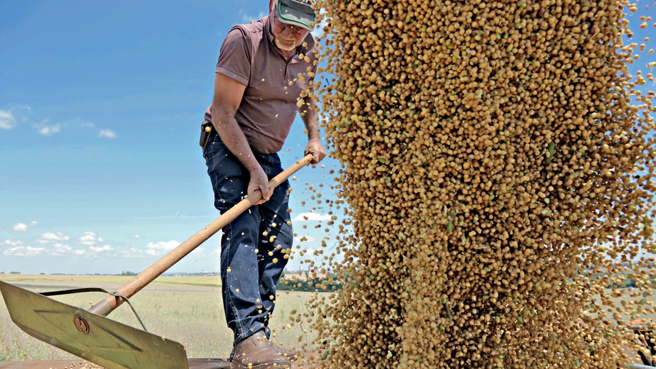 RECORDE - Colheita de soja em Campo Mourão (PR): safra de grãos alcança 251 milhões de toneladas