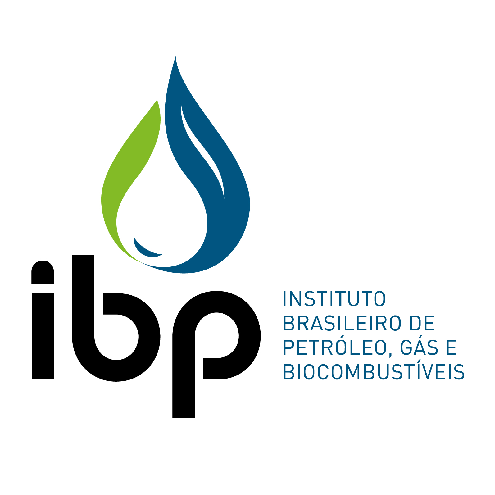 Instituto Brasileiro de Petróleo (IBP)