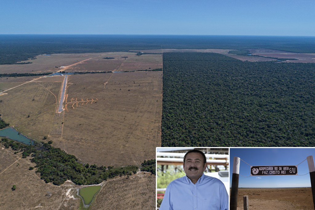 RECORDISTA - Imagem aérea da Fazenda Cristo Rei, de Edio Nogueira, em Mato Grosso: uma multa de 50 milhões de reais pelo estrago e outra, de 2 milhões de reais, por uso de agrotóxico para acelerar a morte das árvores //
