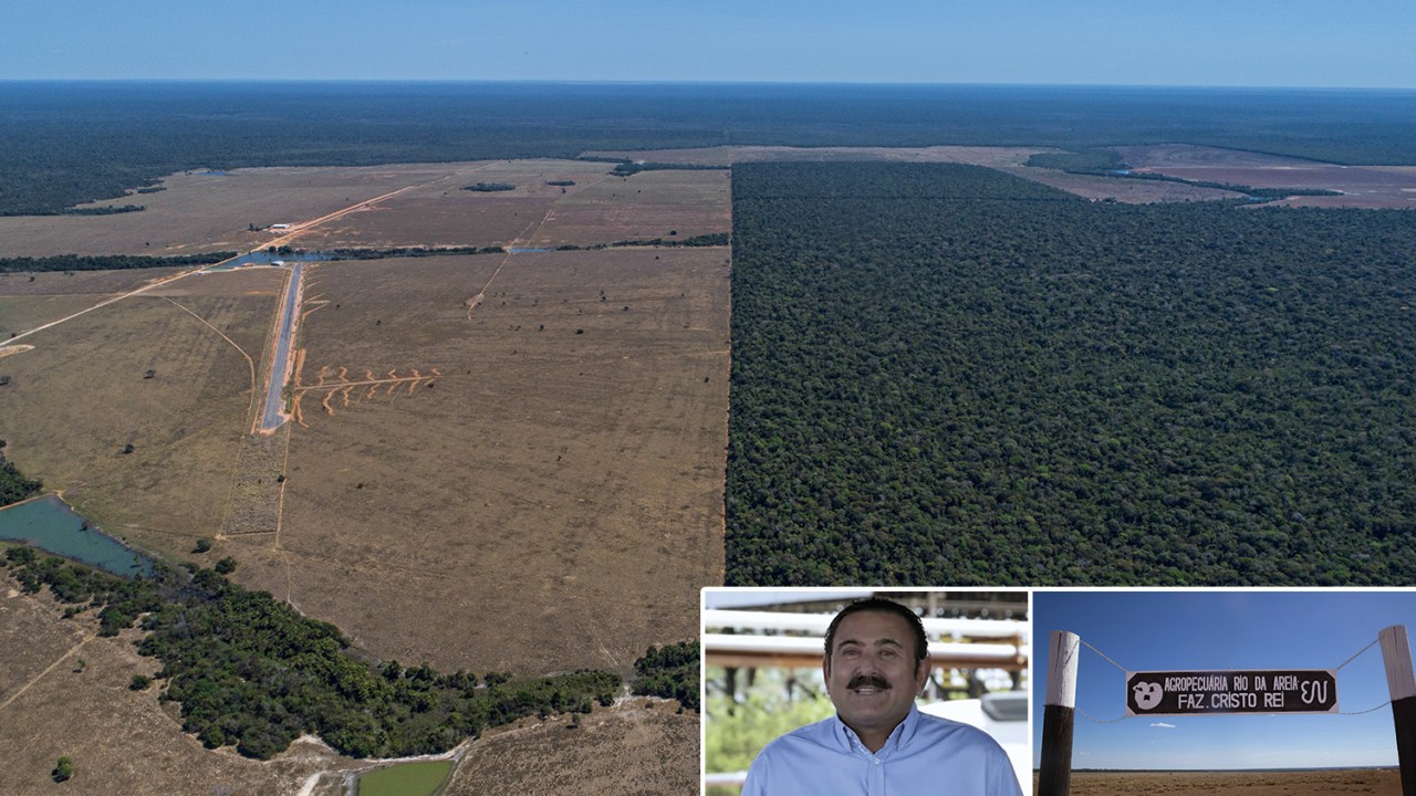 RECORDISTA - Imagem aérea da Fazenda Cristo Rei, de Edio Nogueira, em Mato Grosso: uma multa de 50 milhões de reais pelo estrago e outra, de 2 milhões de reais, por uso de agrotóxico para acelerar a morte das árvores //