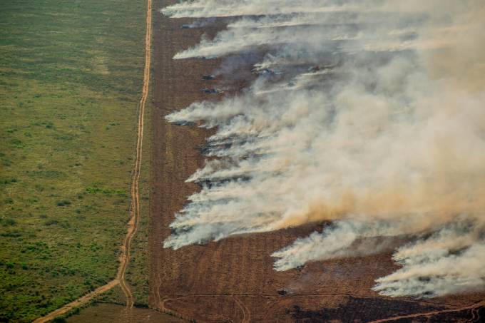 Deforestation and Fire Monitoring in the Amazon in July, 2020Monitoramento de Desmatamento e Queimadas na Amazônia em Julho de 2020