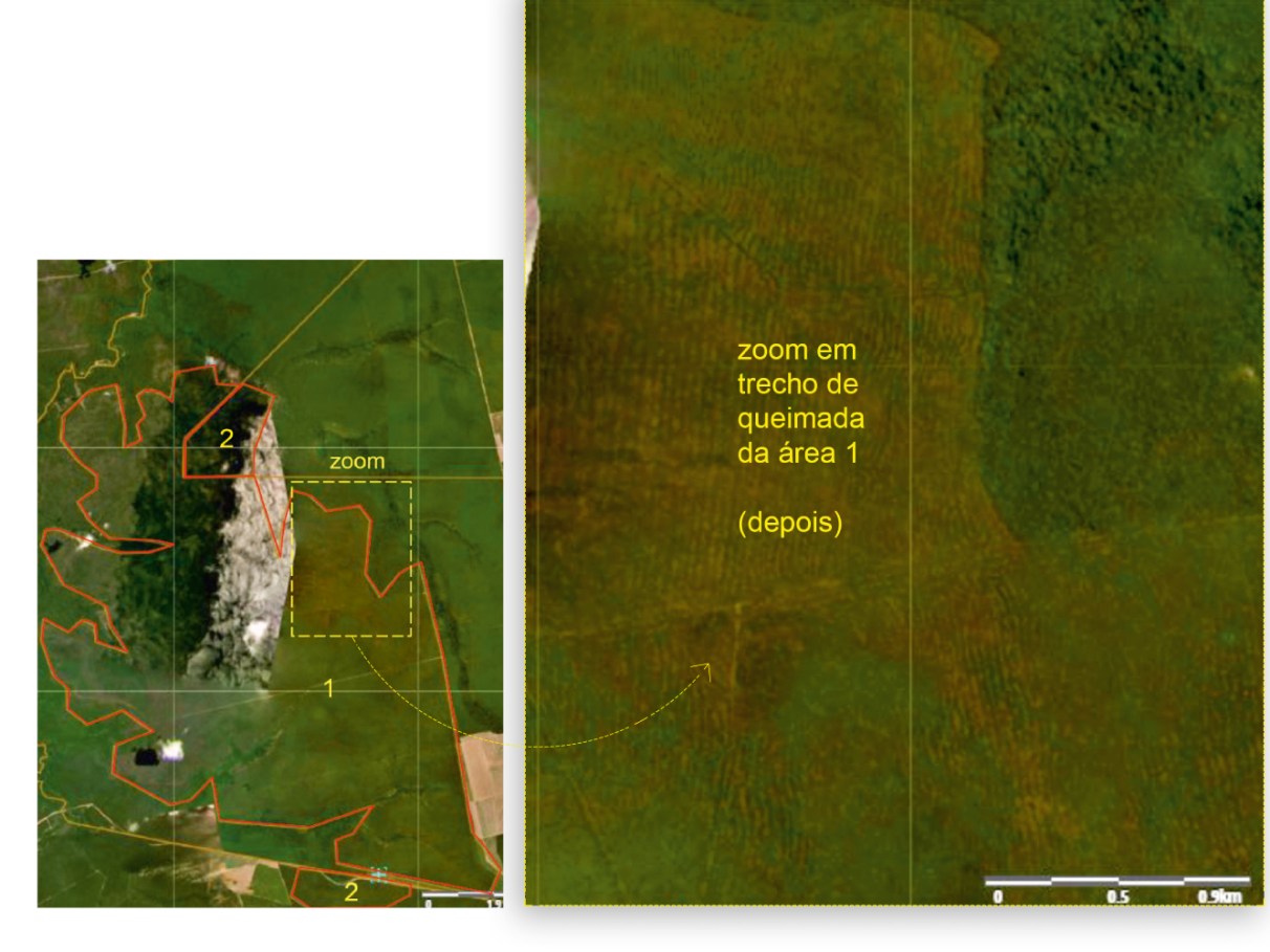 Brasil: O rei da conservação, o desmatamento para os anos 2000