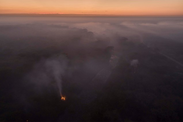 Focos de incêndio se multiplicam a cada dia no Pantanal