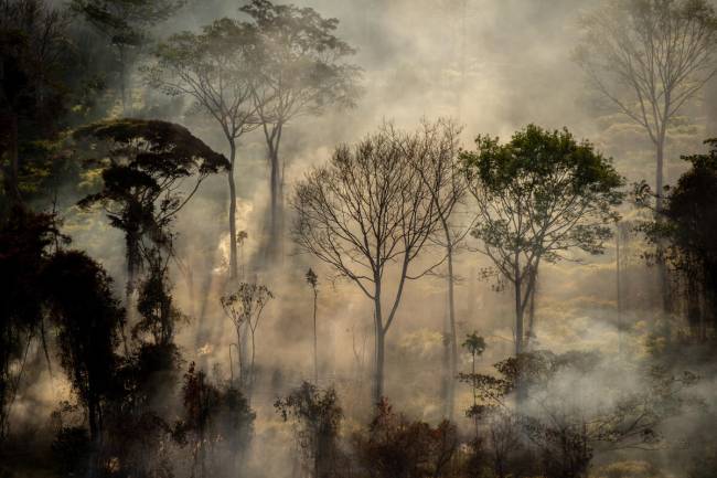 Foco de calor direto em floresta, próximo a área recém desmatada, com alerta Deter, em Alta Floresta (MT).Todos os anos, o Greenpeace Brasil realiza uma série de sobrevoos de monitoramento para registrar o avanço do desmatamento e das queimadas na Amazônia. Em julho de 2020, monitoramos pontos com alertas do Deter e de pontos de calor, do Inpe, nos estados do Pará e Mato Grosso.