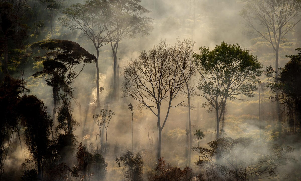 Foco de calor direto em floresta, próximo a área recém desmatada, com alerta Deter, em Alta Floresta (MT).Todos os anos, o Greenpeace Brasil realiza uma série de sobrevoos de monitoramento para registrar o avanço do desmatamento e das queimadas na Amazônia. Em julho de 2020, monitoramos pontos com alertas do Deter e de pontos de calor, do Inpe, nos estados do Pará e Mato Grosso.