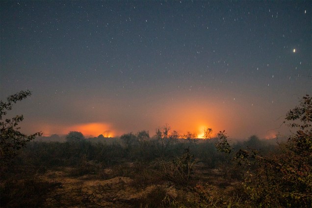 Chamas continuam se alastrando no Pantanal na madrugada adentro