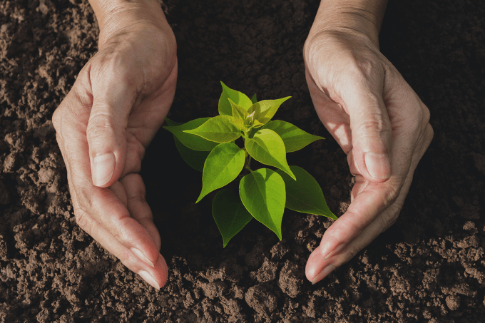 Meio ambiente, sustentabilidade e saúde mental