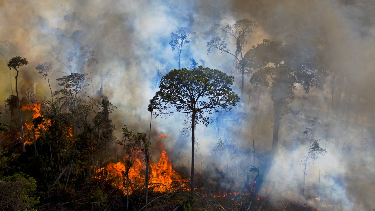 Fumaça sobe de um incêndio ilegalmente aceso na reserva da floresta amazônica, ao sul de Novo Progresso no Pará - 15/08/2020