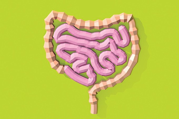 Substâncias produzidas pelo intestino podem influenciar ganho de peso, mostra pesquisa
