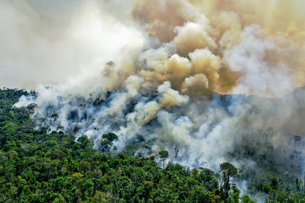Incêndio na Amazônia