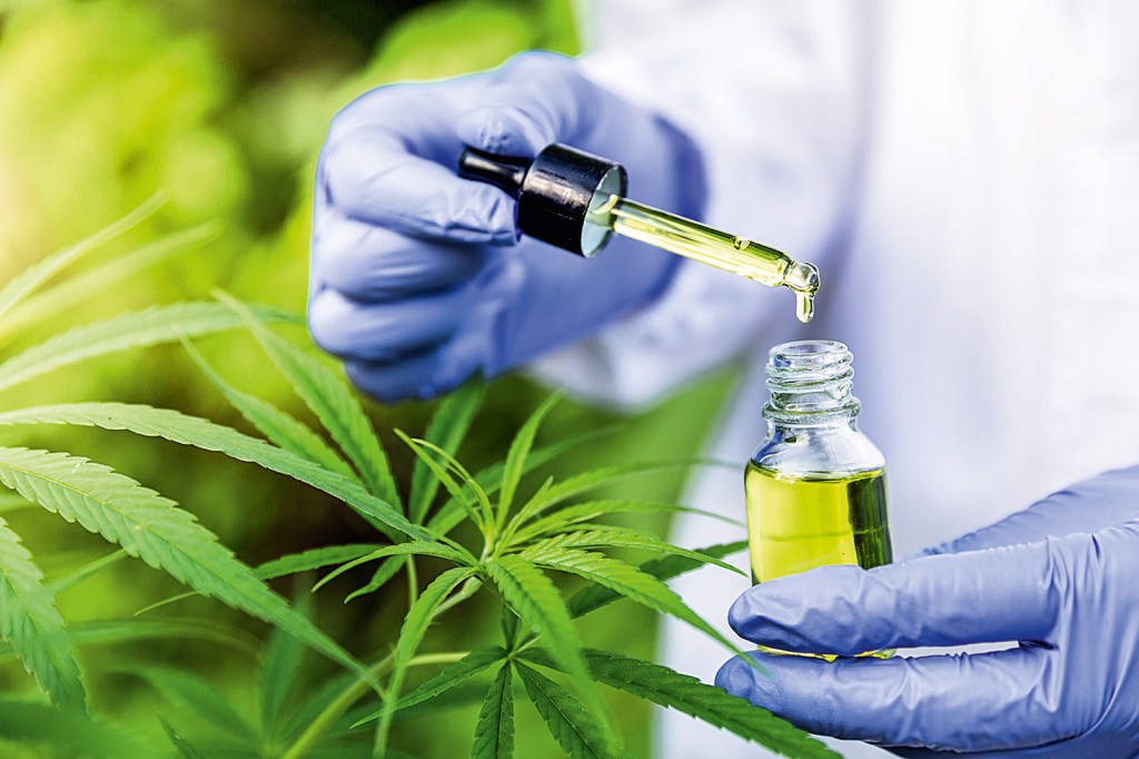 Nova resolução do CFM restringe prescrições de cannabis medicinal -