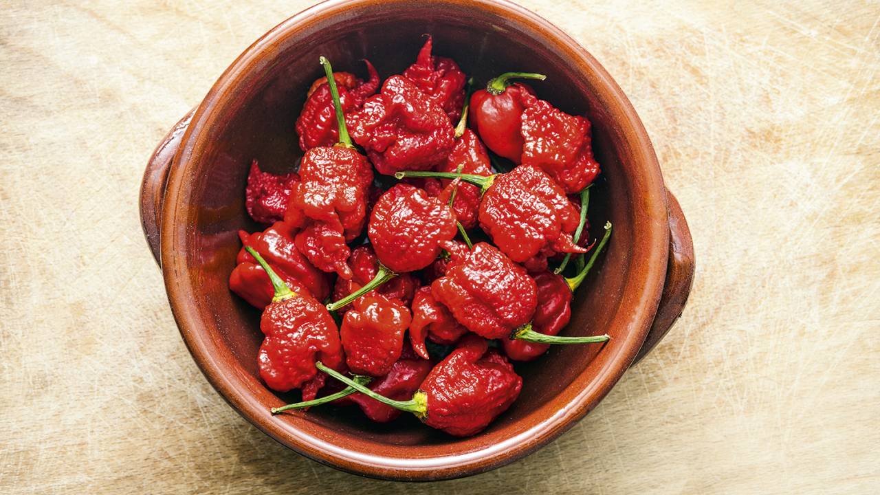 CEIFADORA - Carolina Reaper: a pimenta mais abrasiva do mundo -