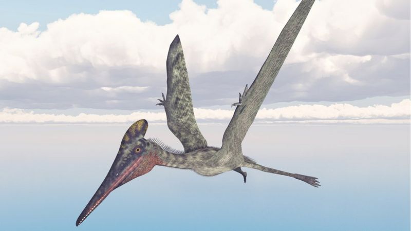 Pterossauro