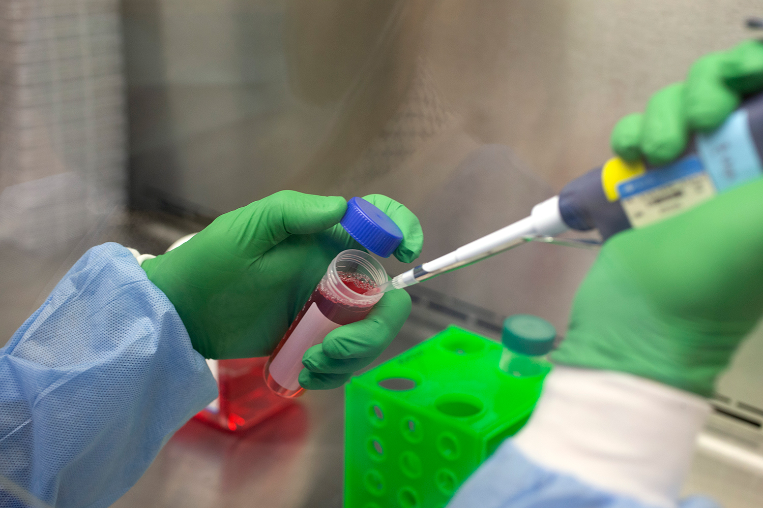 VERSATILIDADE - Material genético em análise: tecnologia permite o desenvolvimento de diferentes imunizantes -