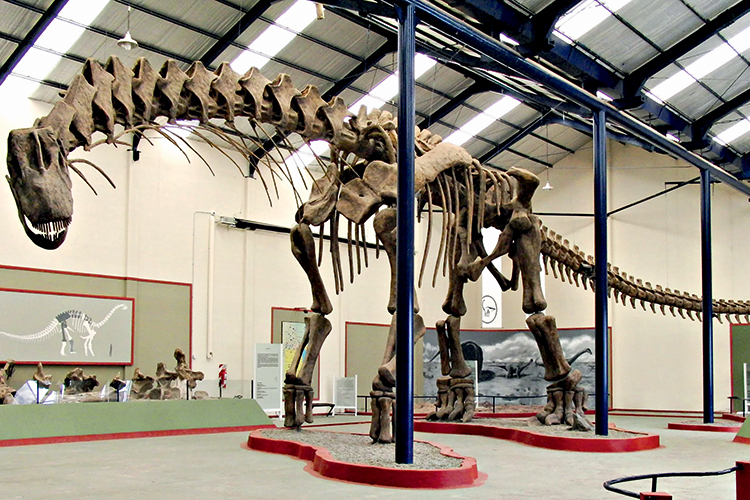 ARGENTINOSSAURO - A reconstrução do bicho: orgulho local -
