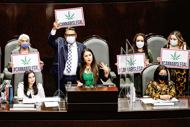 VENTO A FAVOR - Deputados mexicanos se manifestam na votação do projeto: vitória da legalização -