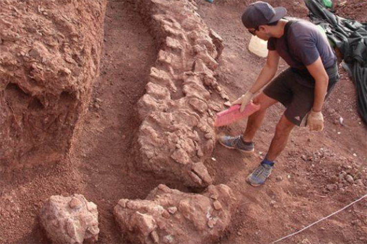 Paleontologistas durante escavações em Neuquen, na Argentina -