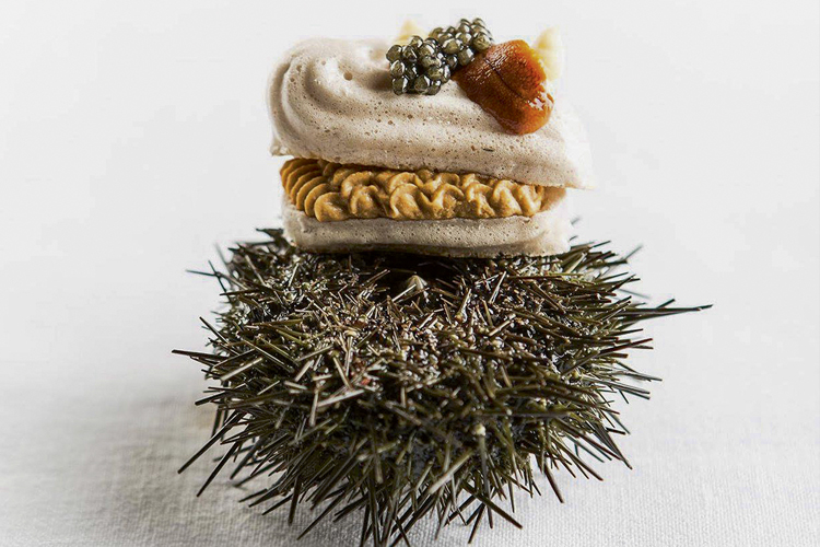 NADA EXÓTICO - Ouriço fresco com massa e caviar: prato cheio para a geração dos millennials -