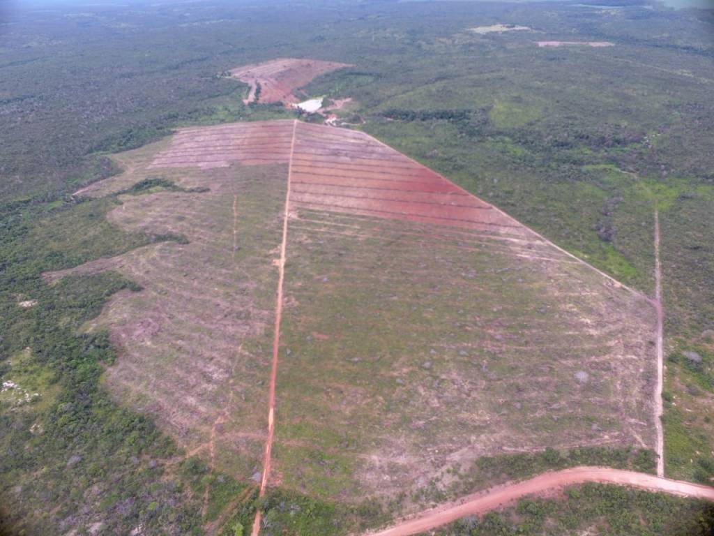 Operação contra desmatamento irregular na região APA de Pouso Alto, no município de Cavalcante.
